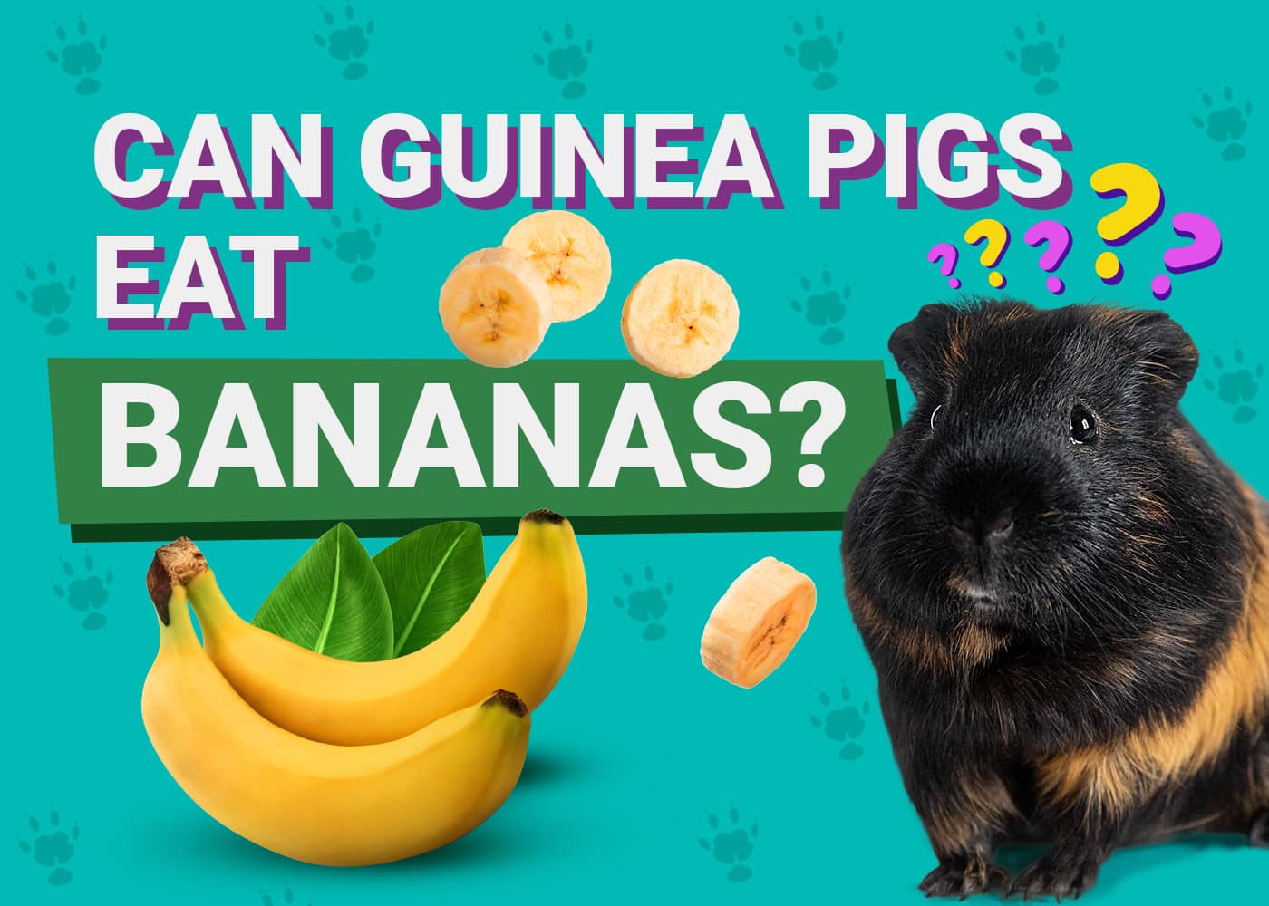 Is banana good for guinea pigs best sale