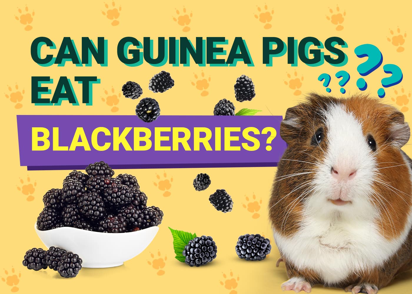 Can guinea pigs have nectarines best sale