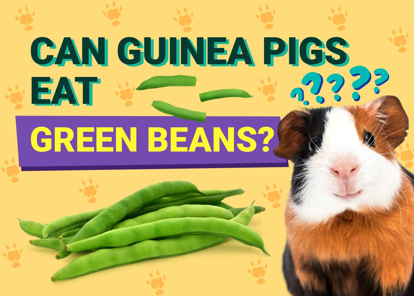 Can Guinea Pigs Eat Green Beans? Vet-Verified Nutritional Benefits 