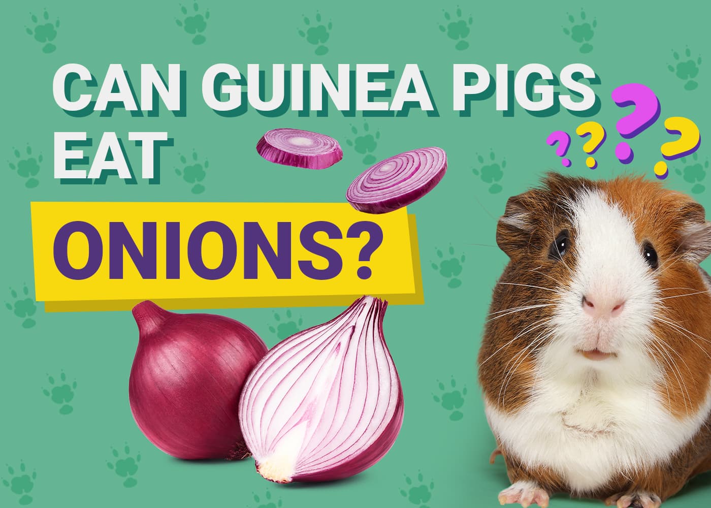 Can Guinea Pigs Eat Onions? Vet Reviewed Facts &amp; FAQ | PangoVet