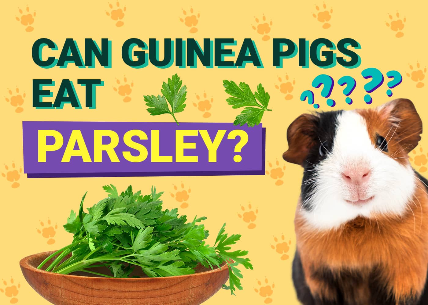 Can guinea pigs eat kalettes best sale