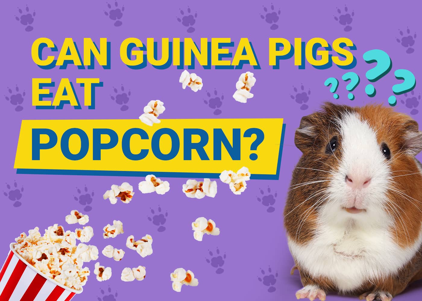 Can Guinea Pigs Eat Popcorn? Vet-Approved Nutritional Science 