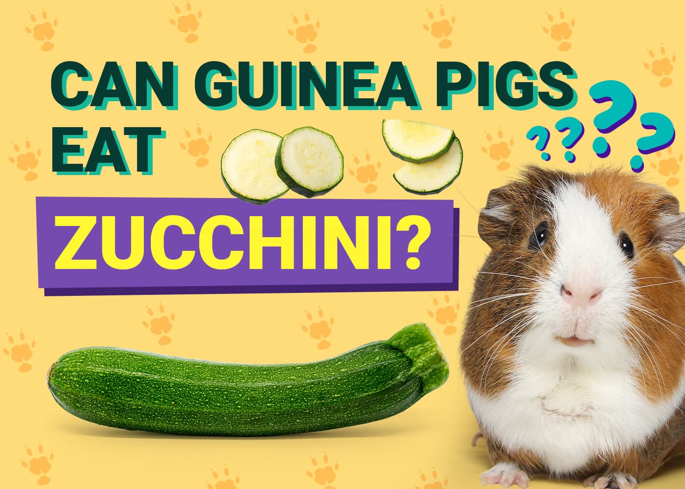 Can Guinea Pigs Eat Zucchini &amp; Squash? Vet-Reviewed Nutritional 