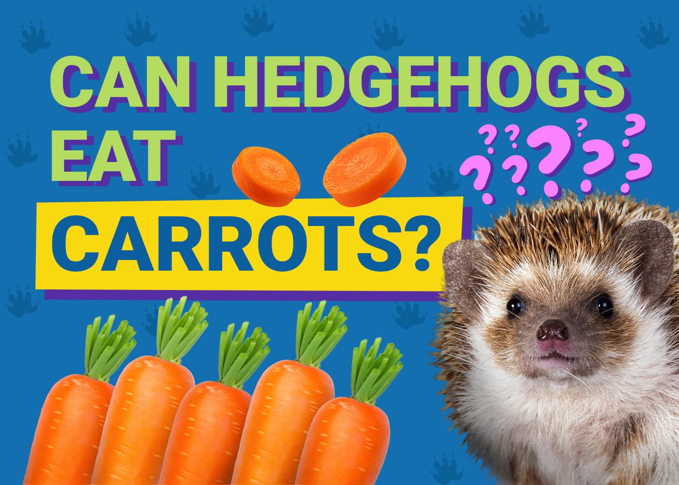 Can Birds Eat Rice Vet Reviewed Nutrition Facts FAQ PangoVet can-birds-eat-rice-vet-reviewed-nutrition-facts-faq-pangovet