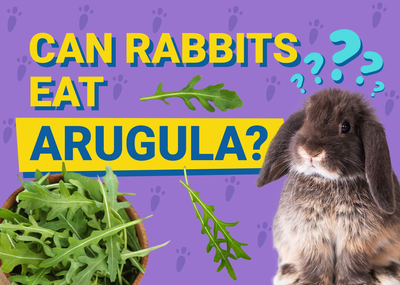 Can Rabbits Eat Arugula? Nutritional Facts &amp; FAQ | PangoVet