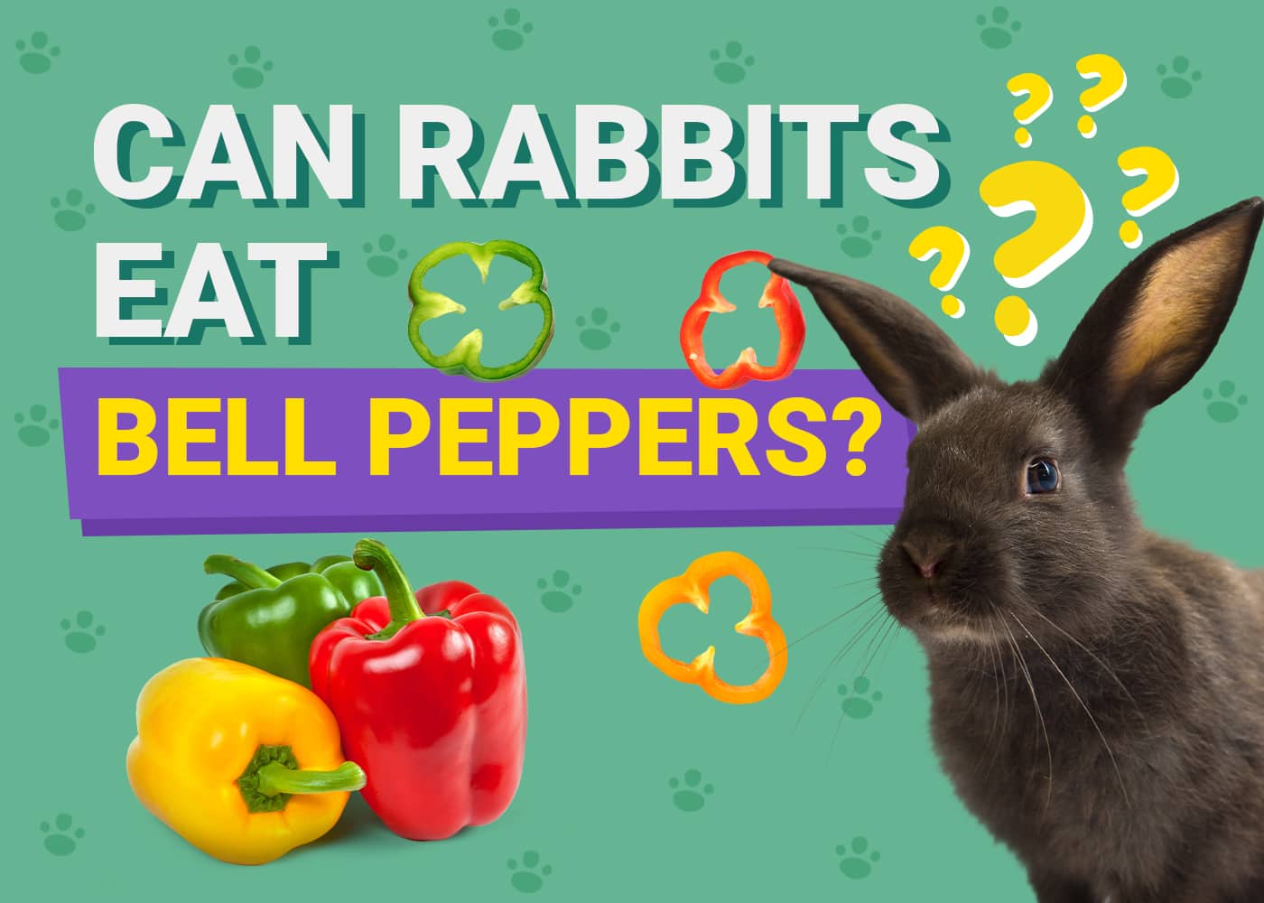 Can Rabbits Eat Bell Pepper? Safety Facts &amp; FAQ | PangoVet