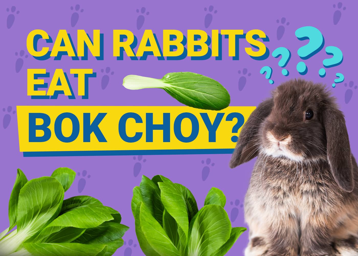 Can Rabbits Eat Bok Choy? Nutritional Facts &amp; FAQ | PangoVet