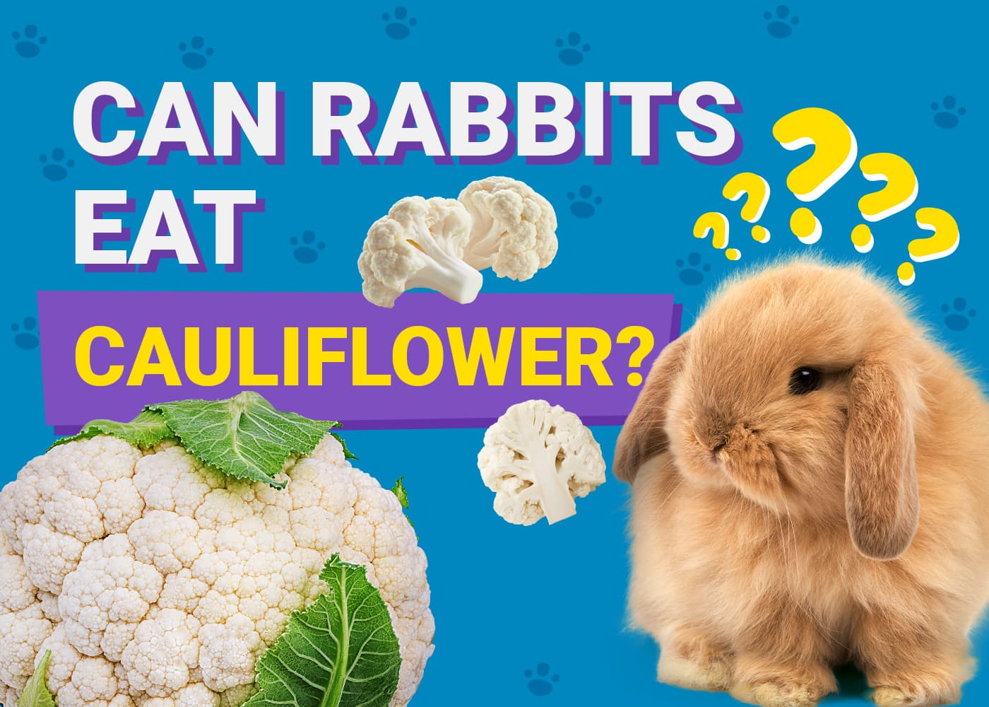 Can Rabbits Eat Cauliflower? Vet-Reviewed Safety Facts &amp; FAQ 