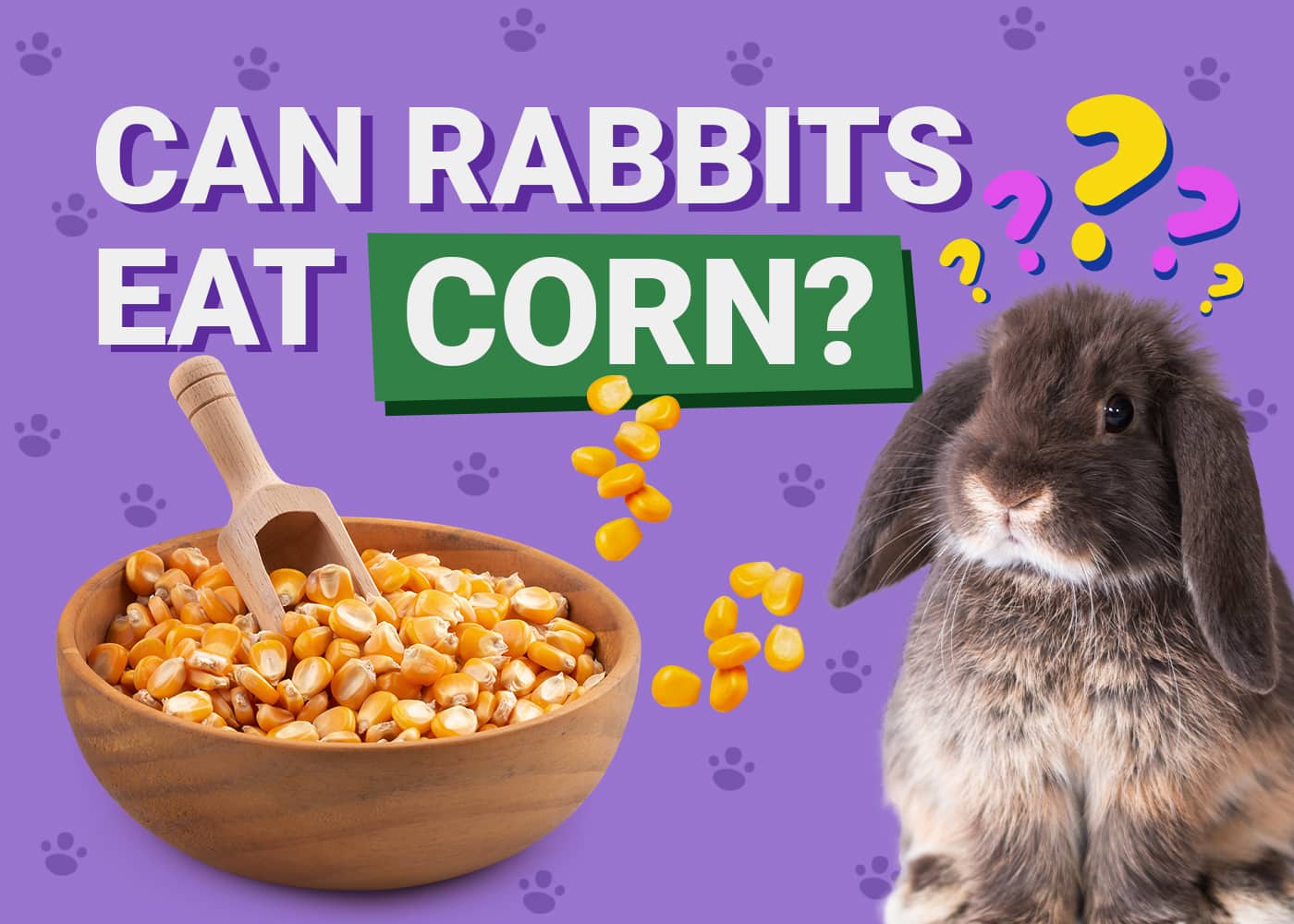 Can Rabbits Eat Corn? Vet-Reviewed Facts &amp; FAQ | PangoVet