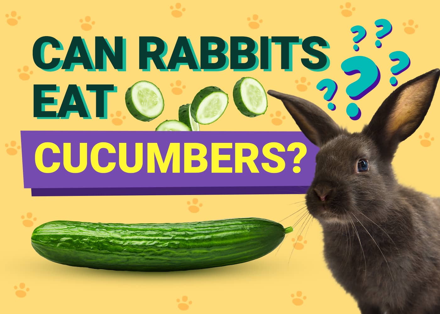 Can Rabbits Eat Cucumbers? Vet-Verified Health Facts &amp; FAQ | PangoVet