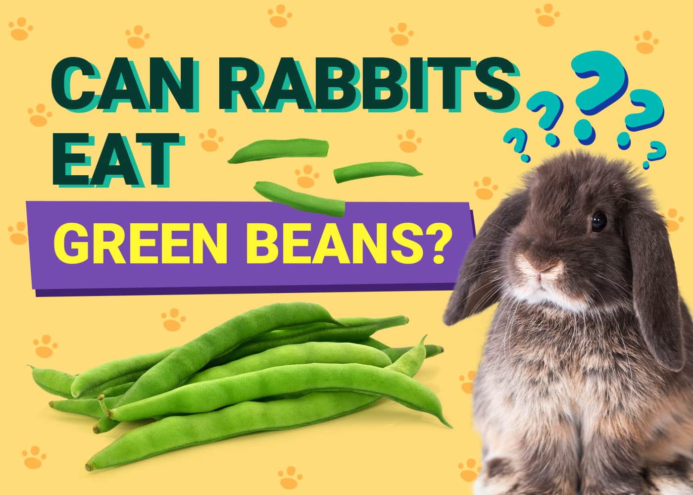 Can Rabbits Eat Green Beans? Vet-Reviewed Facts &amp; FAQ | PangoVet