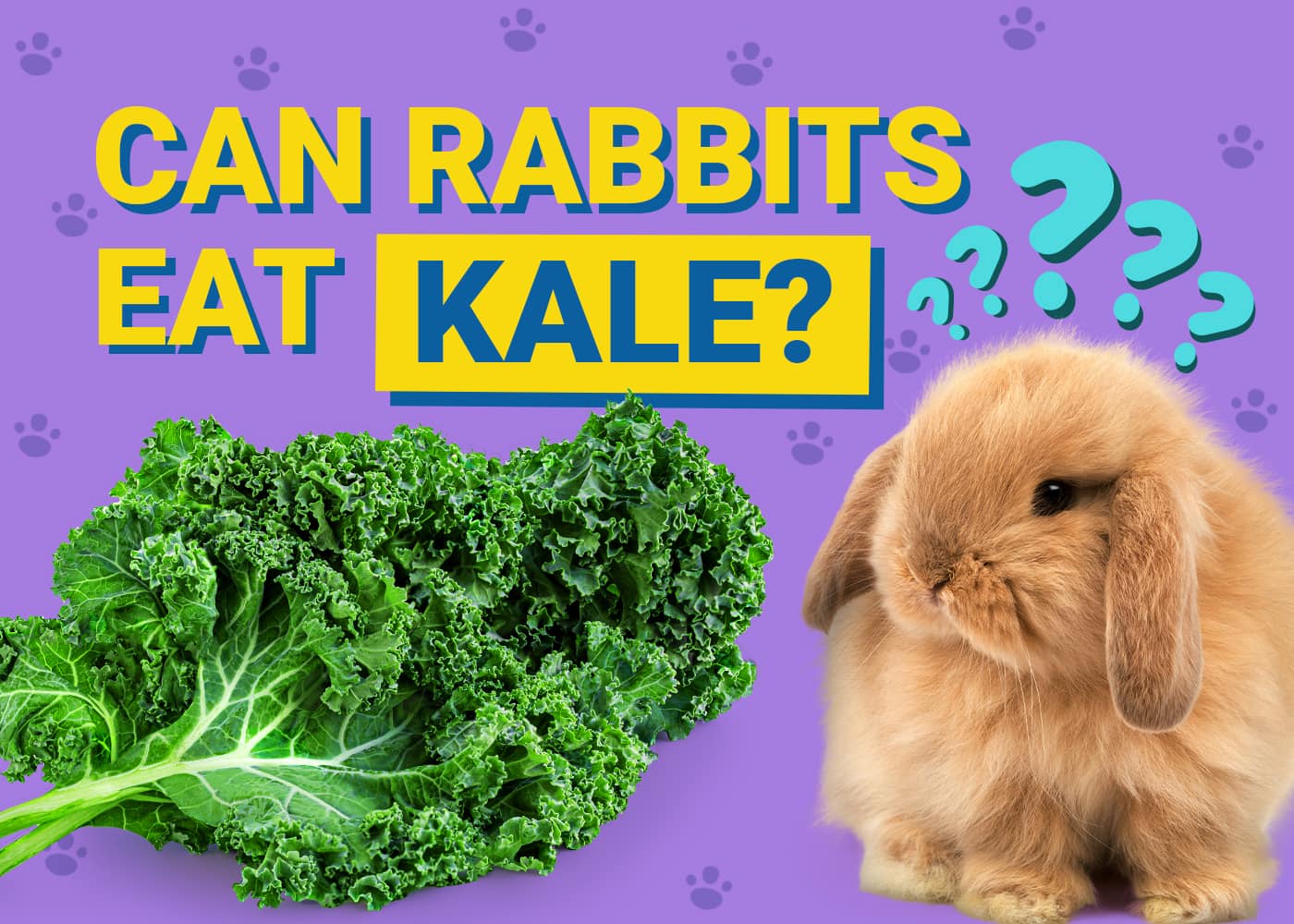 Can Rabbits Eat Kale? Vet-Approved Nutrition Facts &amp; FAQ | PangoVet