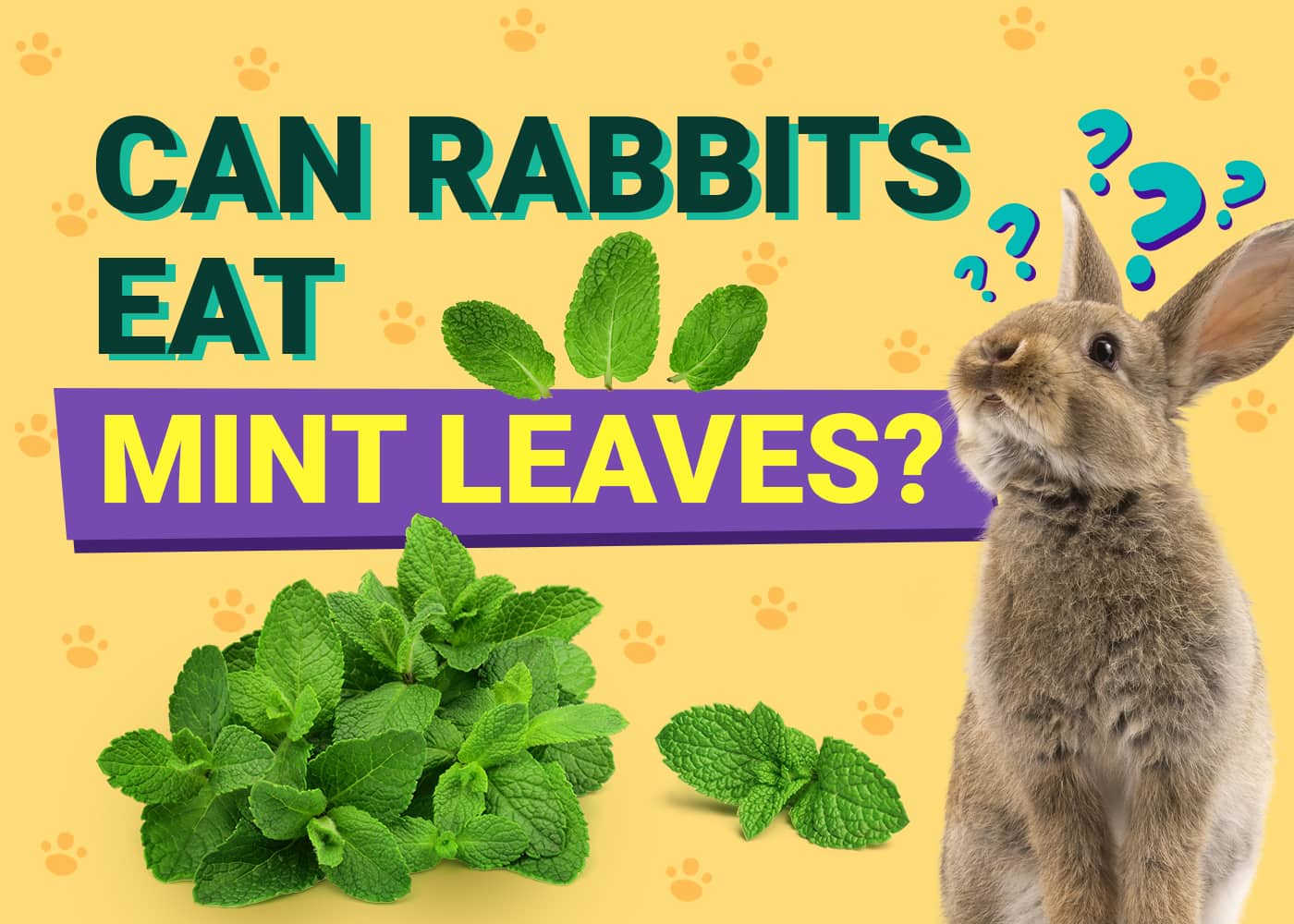 Can Rabbits Eat Mint Leaves? Vet-Reviewed Safety Facts &amp; FAQ 