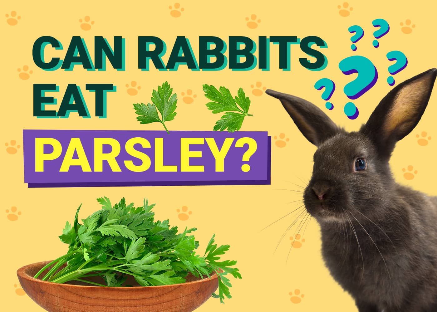 Can Rabbits Eat Parsley? Vet-Approved Safety Facts &amp; FAQ | PangoVet