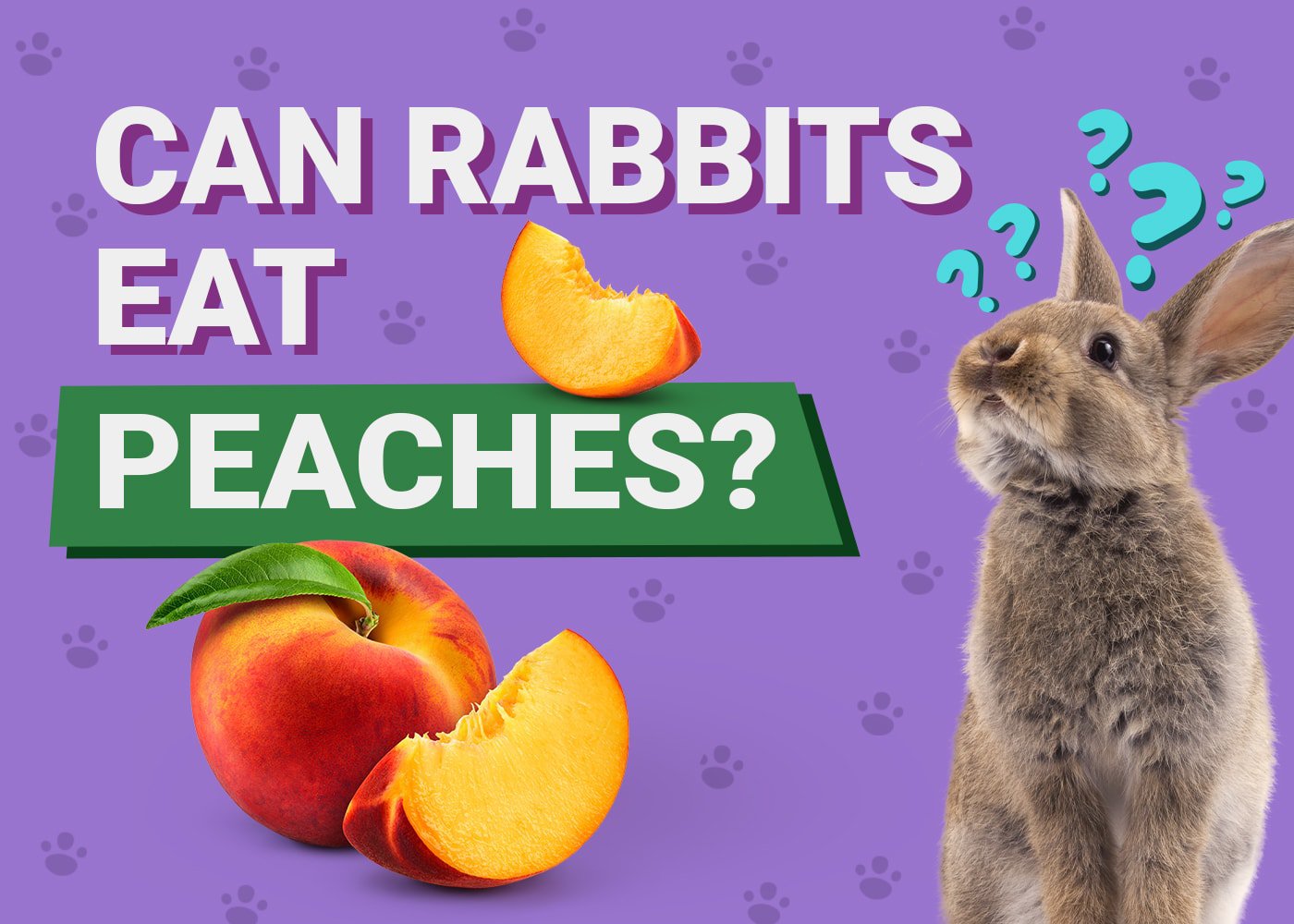 Can Rabbits Eat Peaches? Vet-Verified Nutritional Facts 