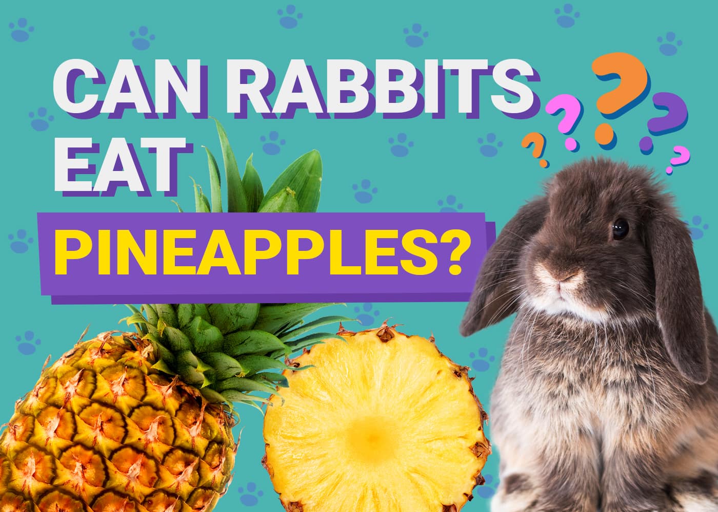 Can Rabbits Eat Pineapples? Vet-Reviewed Safety Facts &amp; FAQ | PangoVet