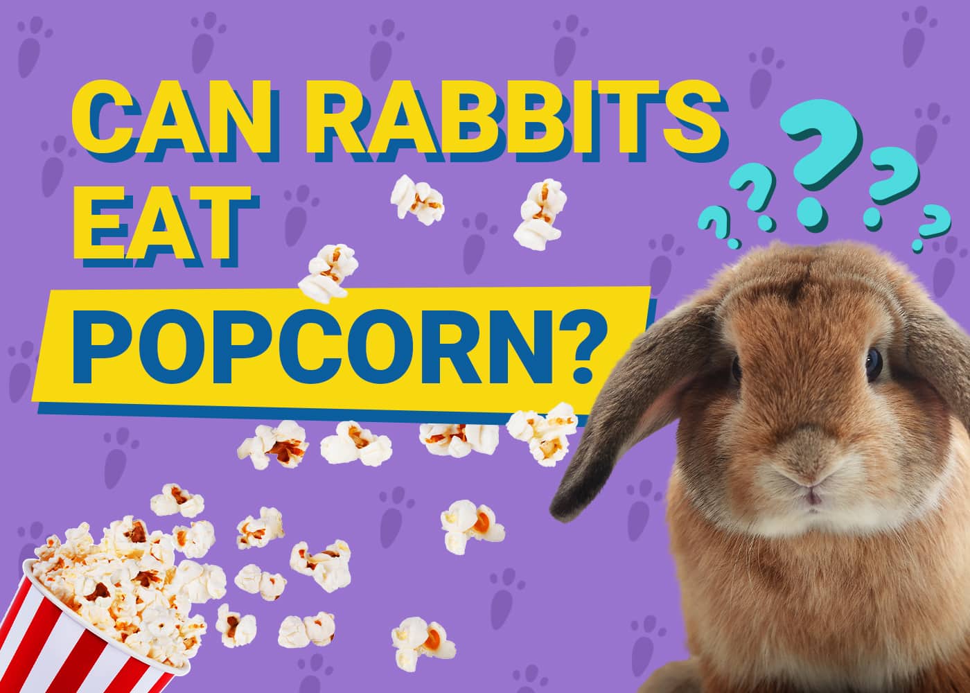 Can Rabbits Eat Popcorn? Everything You Want to Know! | PangoVet