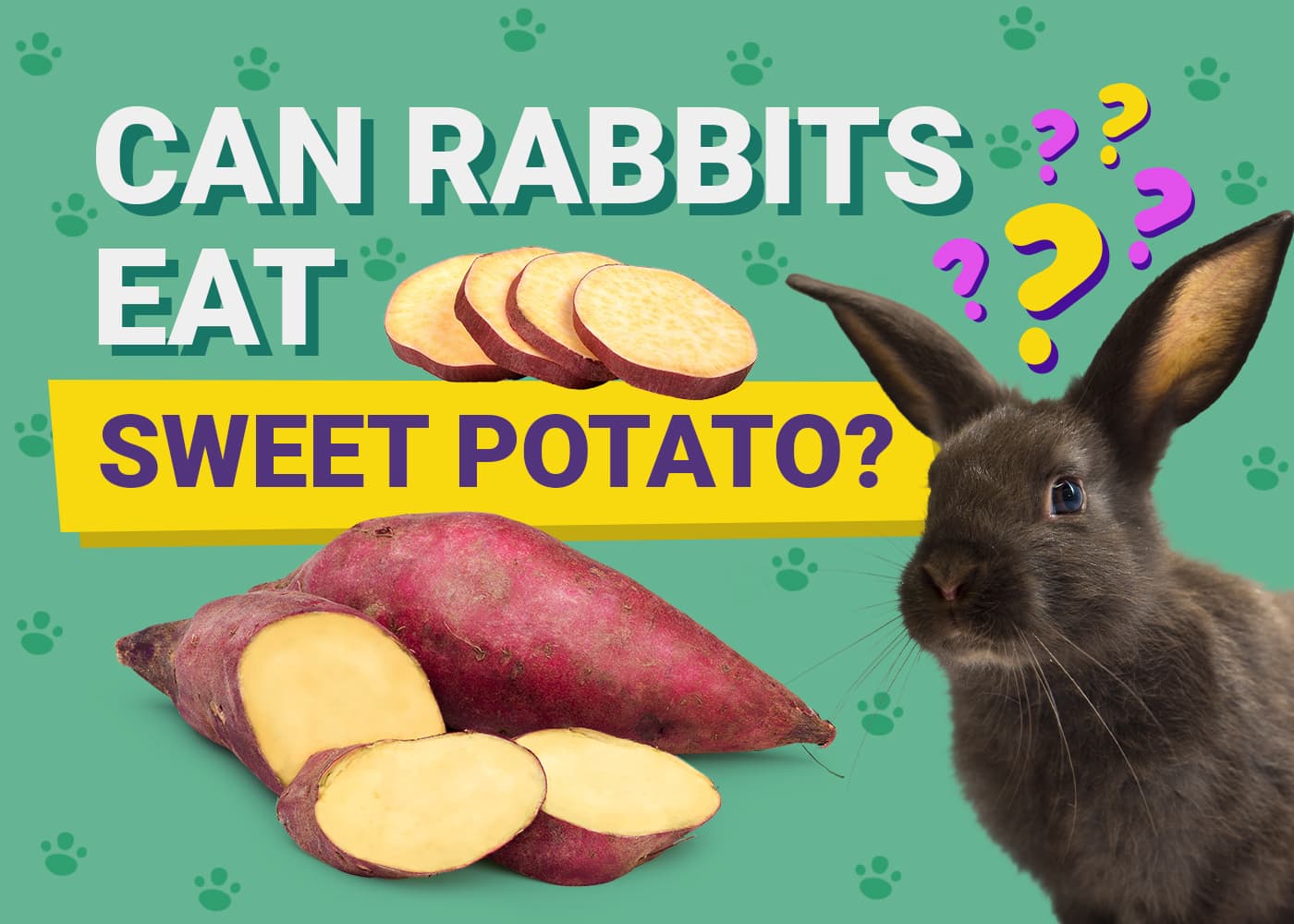 Can Rabbits Eat Sweet Potato? Vet-Reviewed Safety Facts &amp; FAQ 