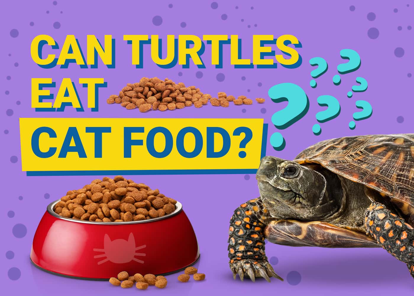 Can Turtles Eat Cat Food? Vet-Verified Analysis & Safety Guide | PangoVet