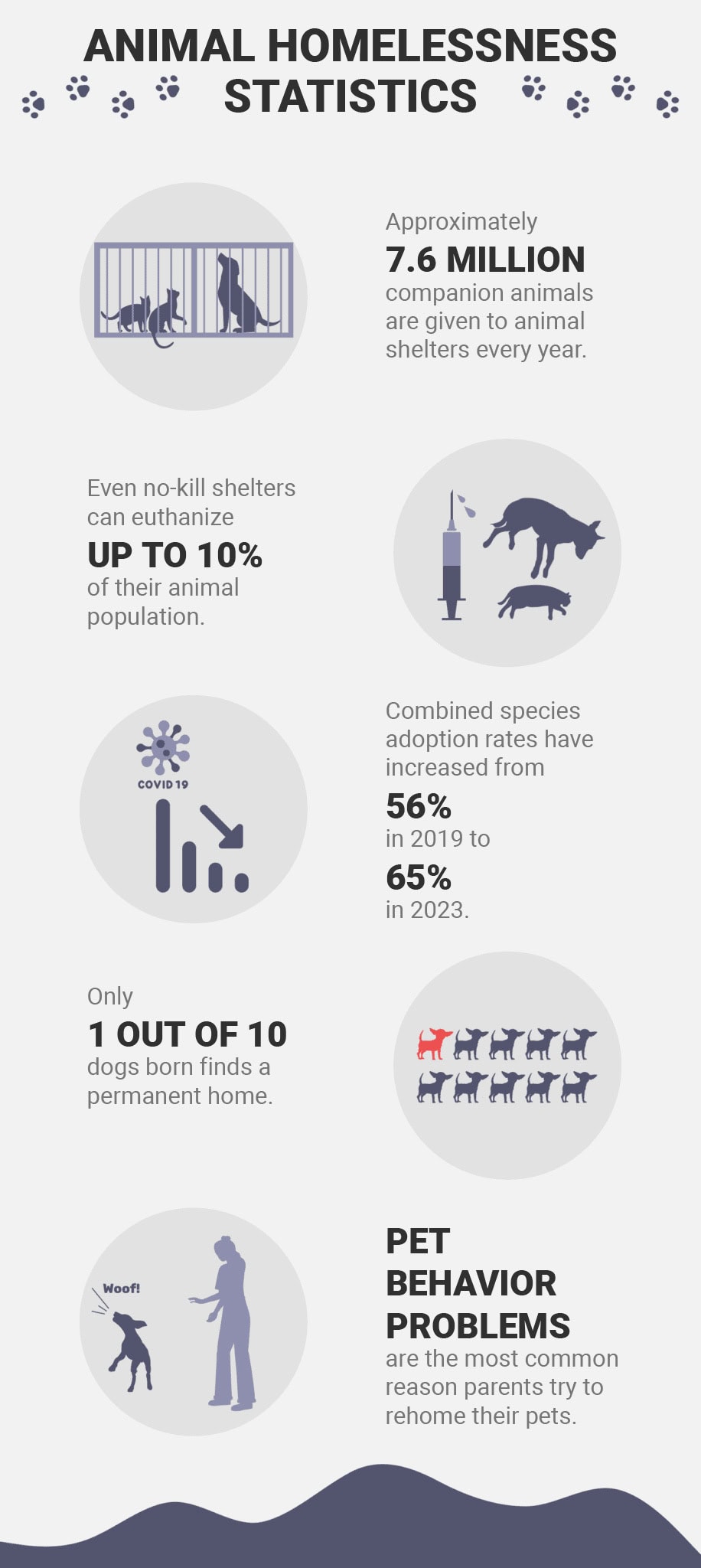 Animal Homelessness Statistics