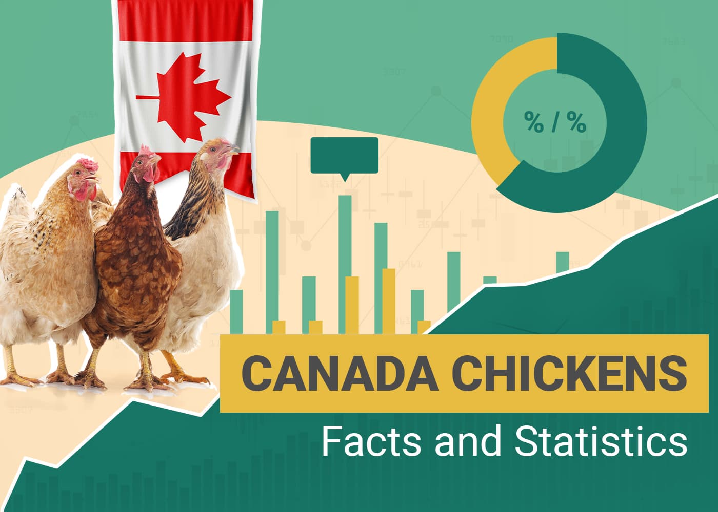 How Many Chickens Are There in Canada? 2025 Statistics PangoVet