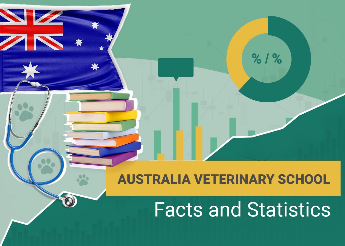 How Long Does It Take to a Vet in Australia? 2025 Update PangoVet