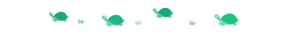 PetKeen_divider_turtle