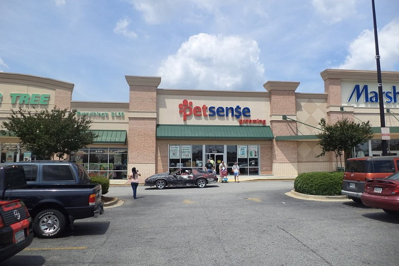 Does Petsense Sell Fish? Facts & FAQ PangoVet