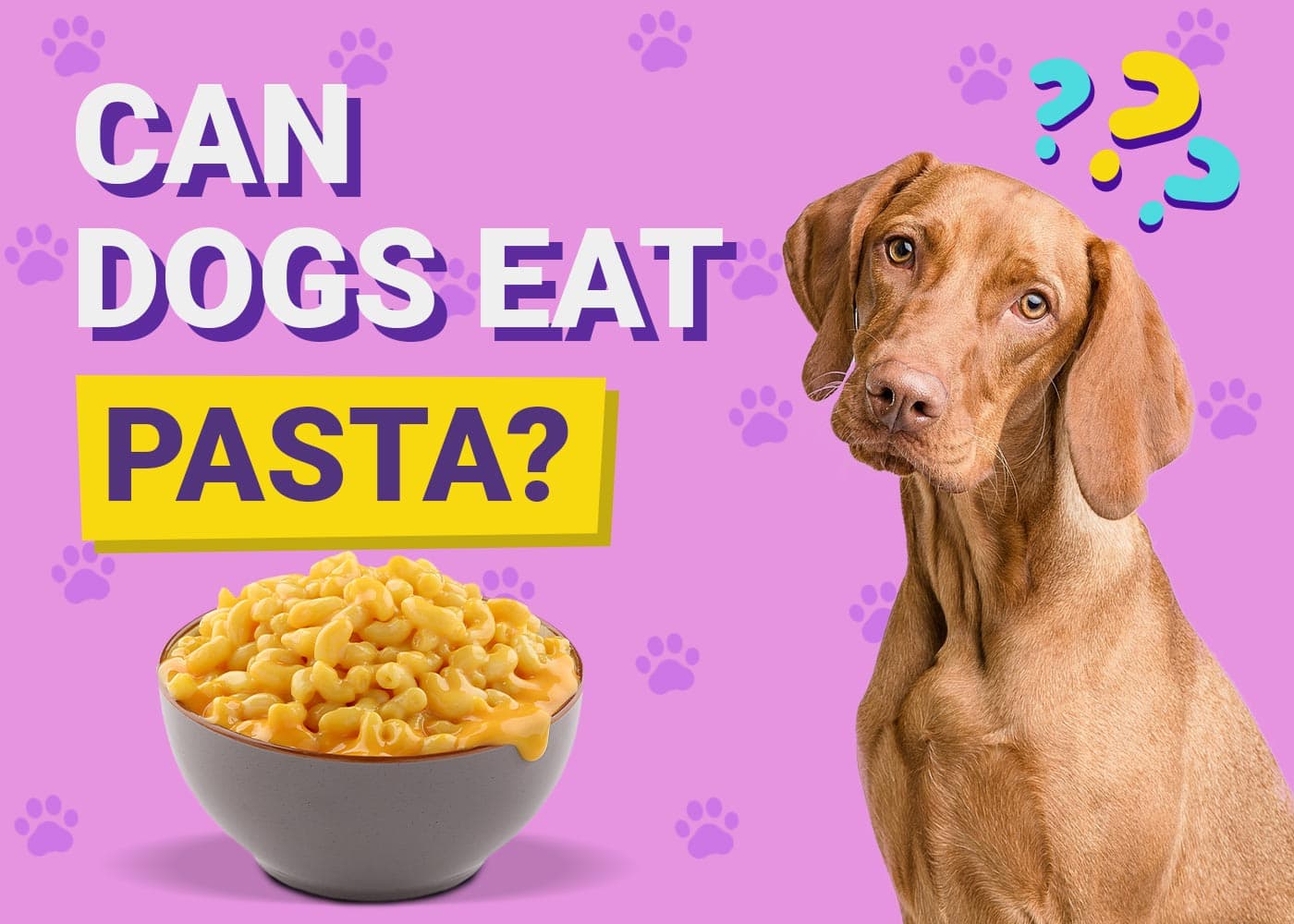 Is pasta good for dogs hotsell