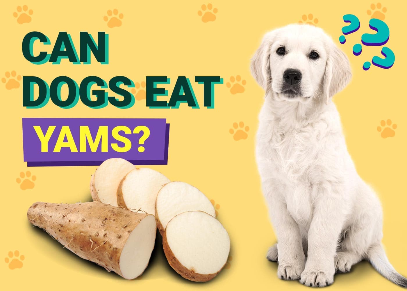 Can Dogs Eat Yams? Vet Verfied Facts &amp; Nutrition Tips | PangoVet