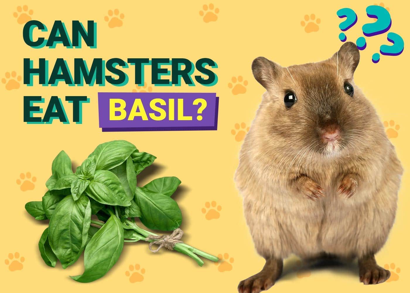 Can Hamsters Eat Basil? VetVerified Nutritional & Dietary Facts PangoVet