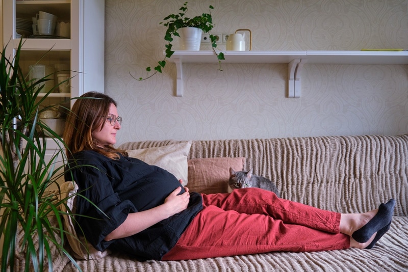 Pregnant woman on the couch with cat
