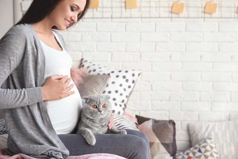 Pregnant woman with cat on her lap