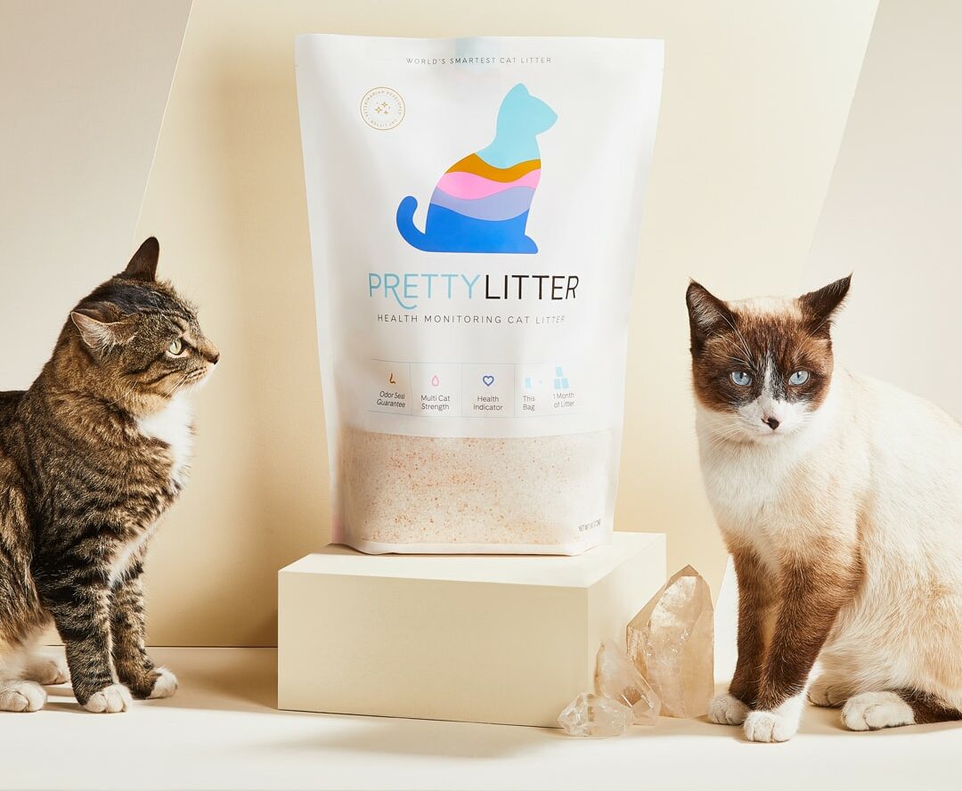 Pretty Litter Colors How to Monitor Your Cat s Health With Infographic PangoVet