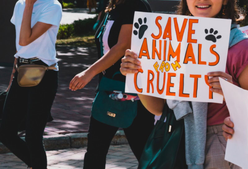 Protesters holding placards for animal rights
