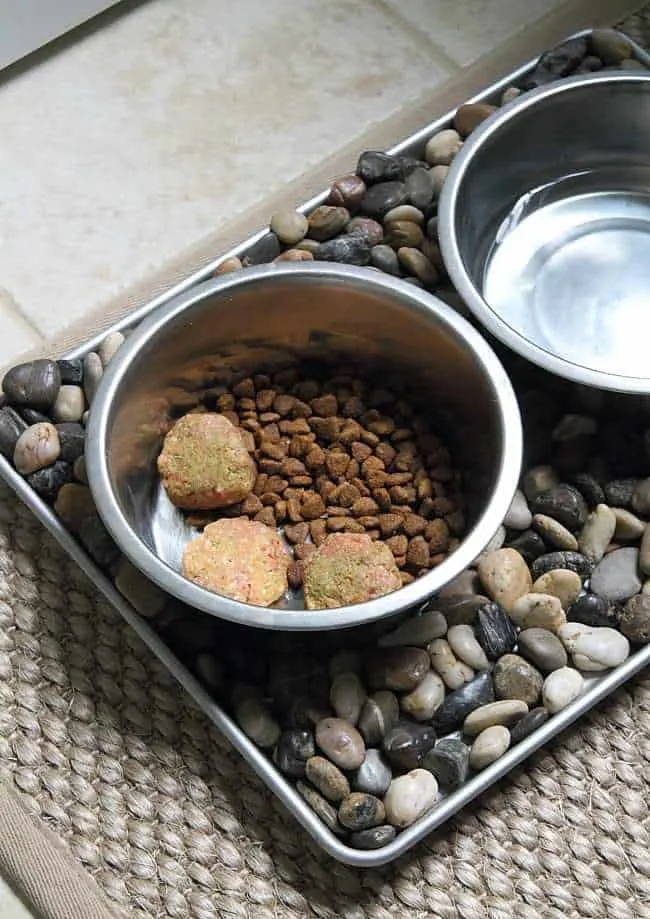 Raw Homemade Dog Food Recipe by running to the kitchen