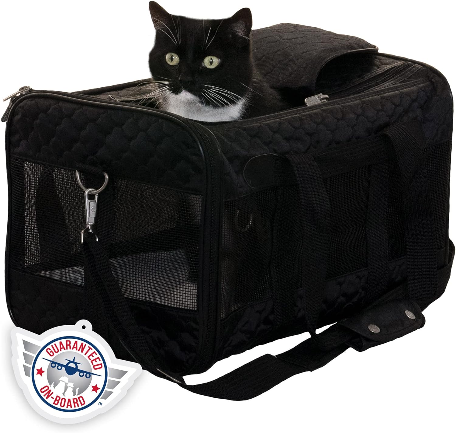 10 Best Cat Carriers for Nervous Cats in 2024 Reviews & Top Picks