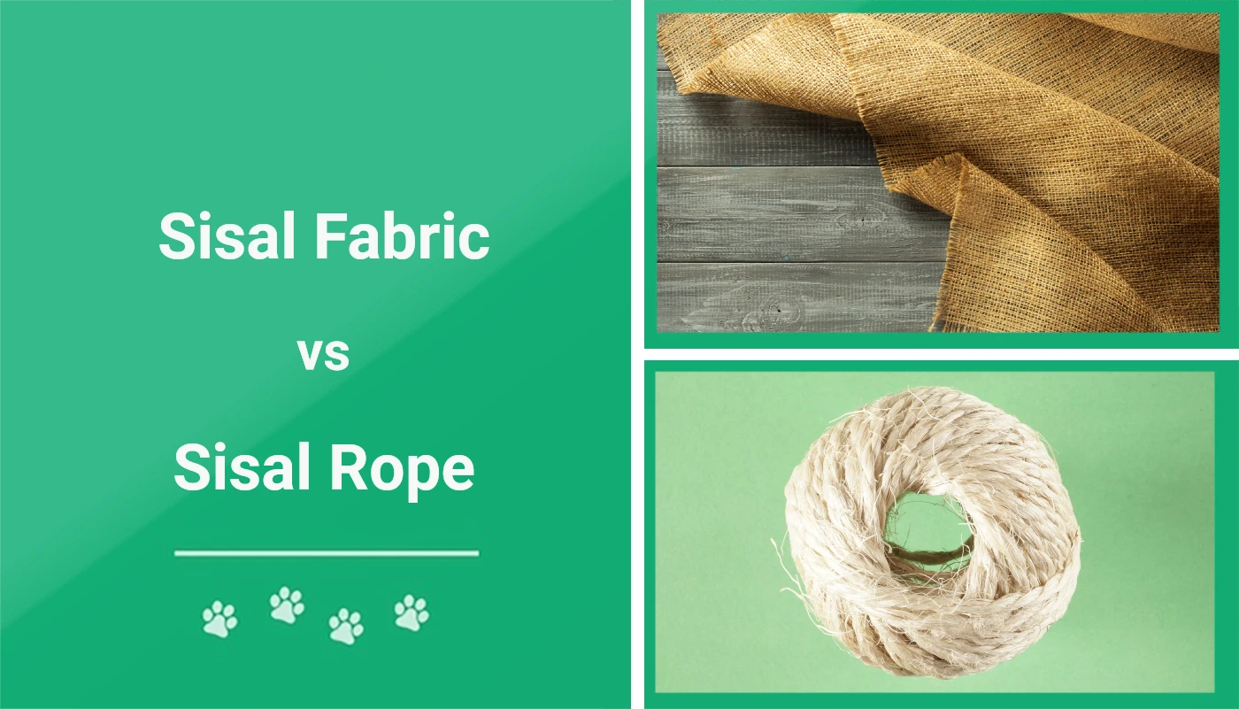 Sisal Fabric vs. Sisal Rope for Cat Scratching Posts What’s the