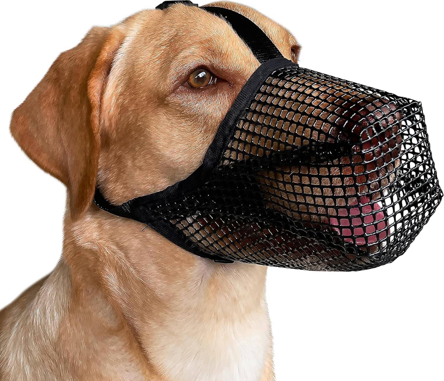 Soft Mesh Covered Muzzle