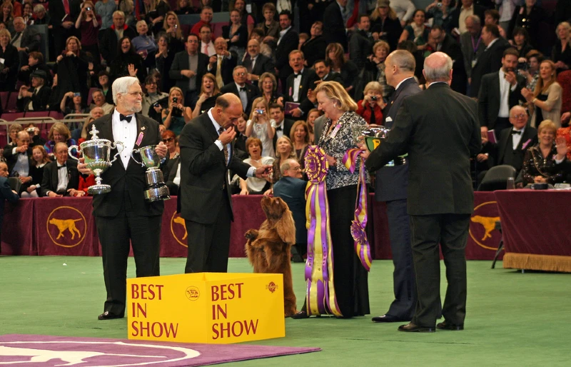 Stump, Best in Show at the Westminster Kennel Club Dog Show