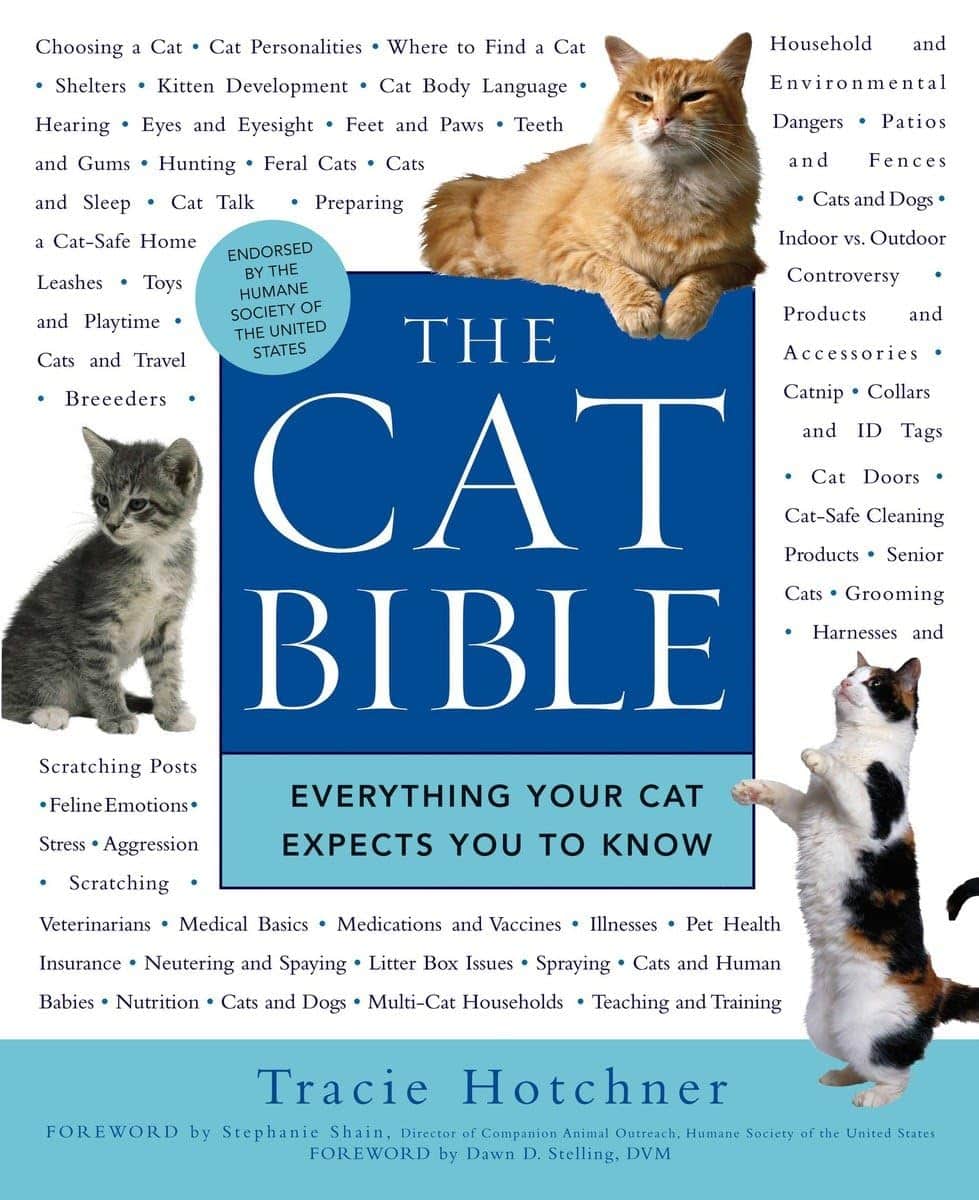The Cat Bible: Everything Your Cat Expects