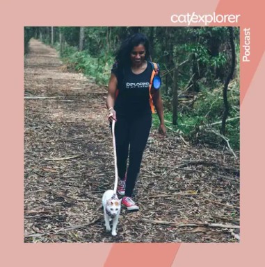 The Catexplorer Podcast