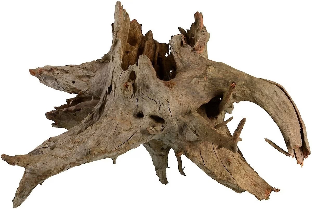 Underwater Treasures Eucalyptus Root Fish Wood