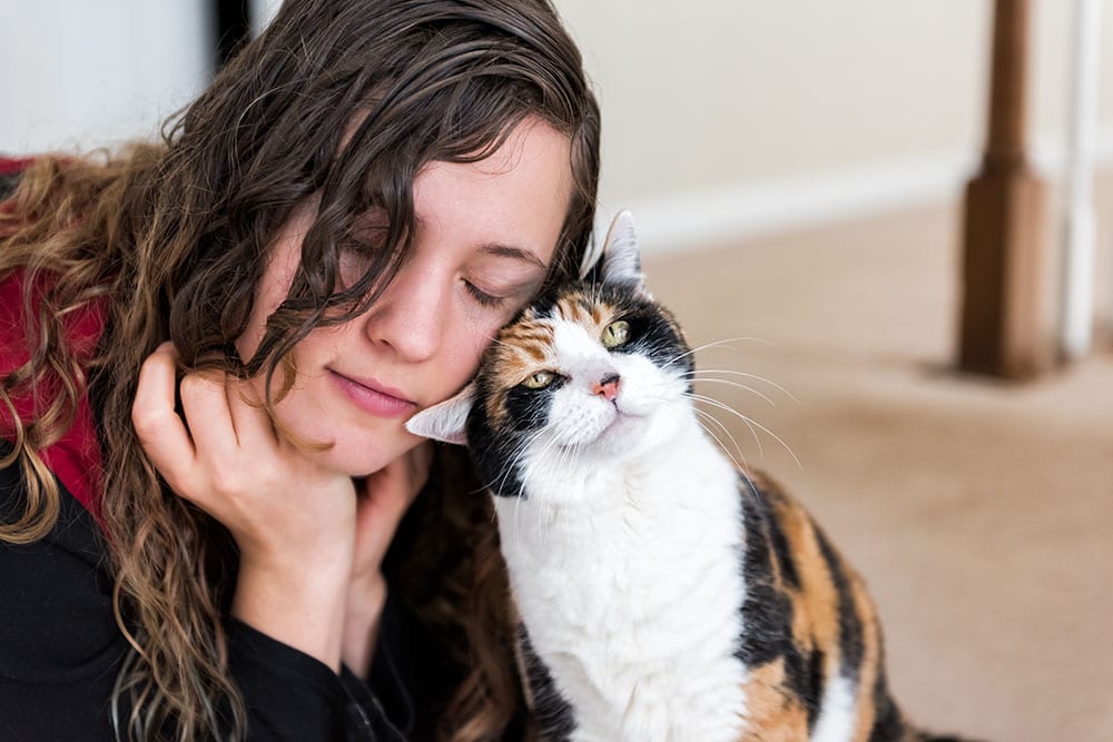 Young woman bonding with calico cat bumping rubbing bunting heads