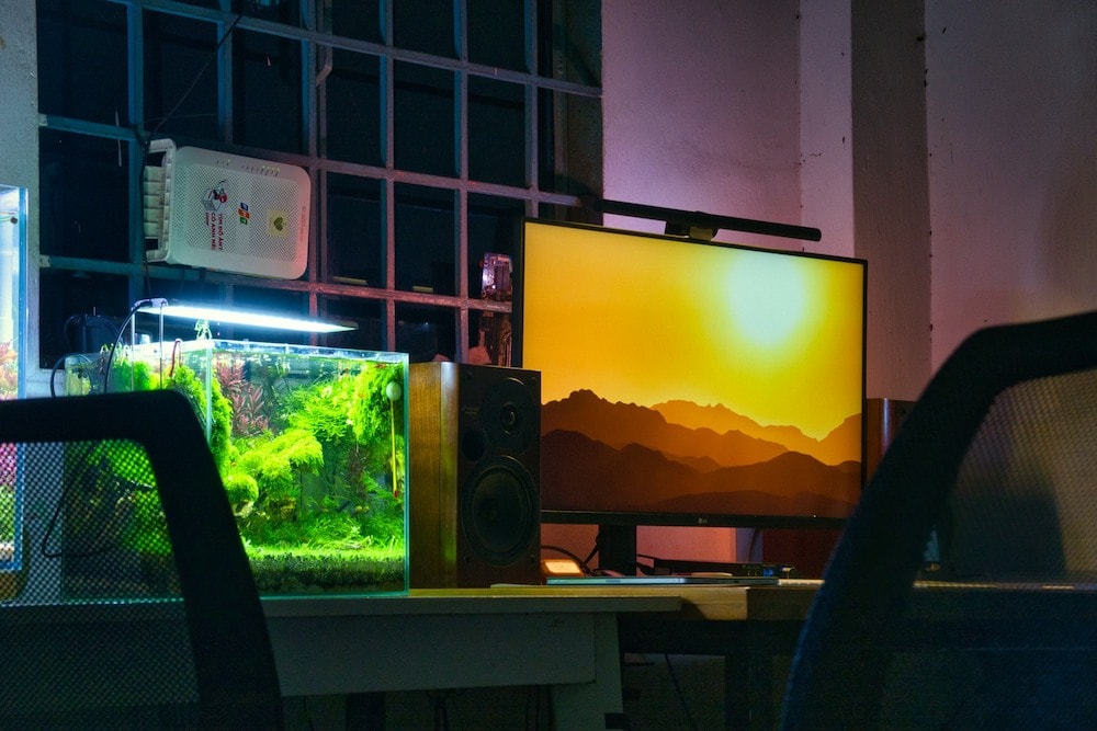 aquarium and computer on a table
