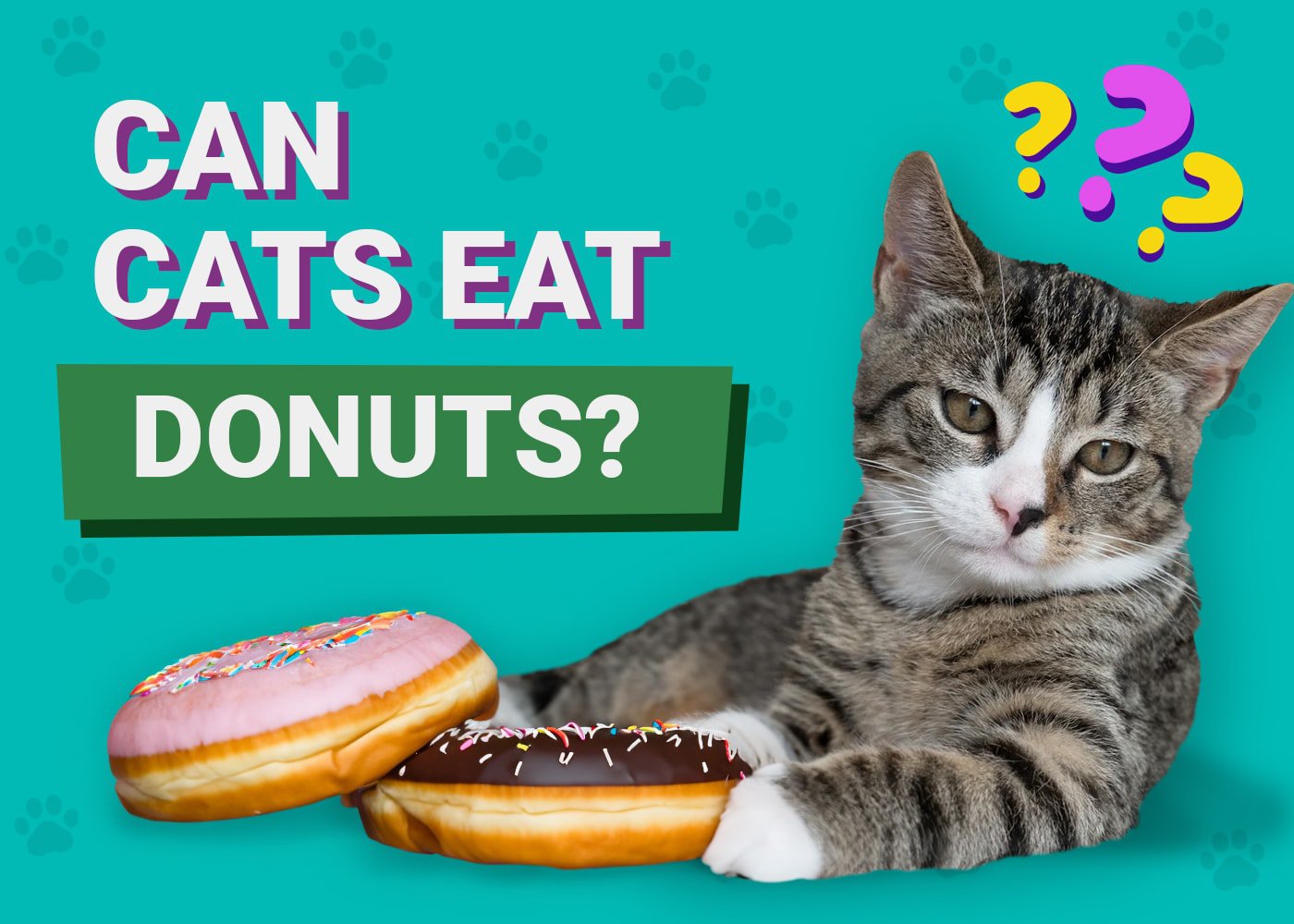 Can Cats Eat Donuts Vet Reviewed Reasons Risks PangoVet