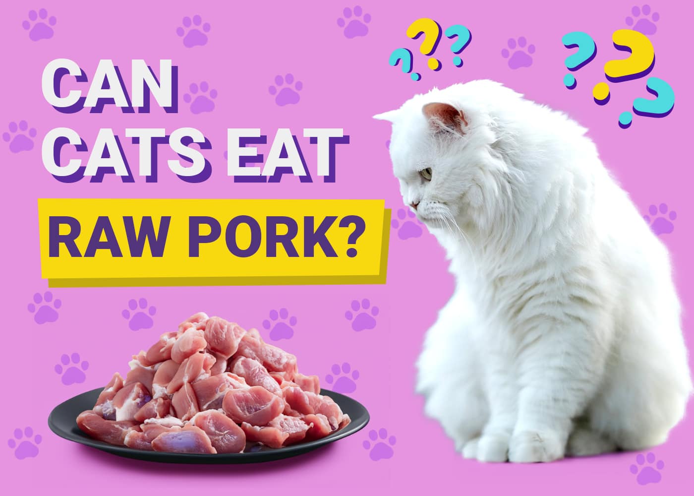 Can Cats Eat Raw Pork Vet Approved Safety Facts PangoVet