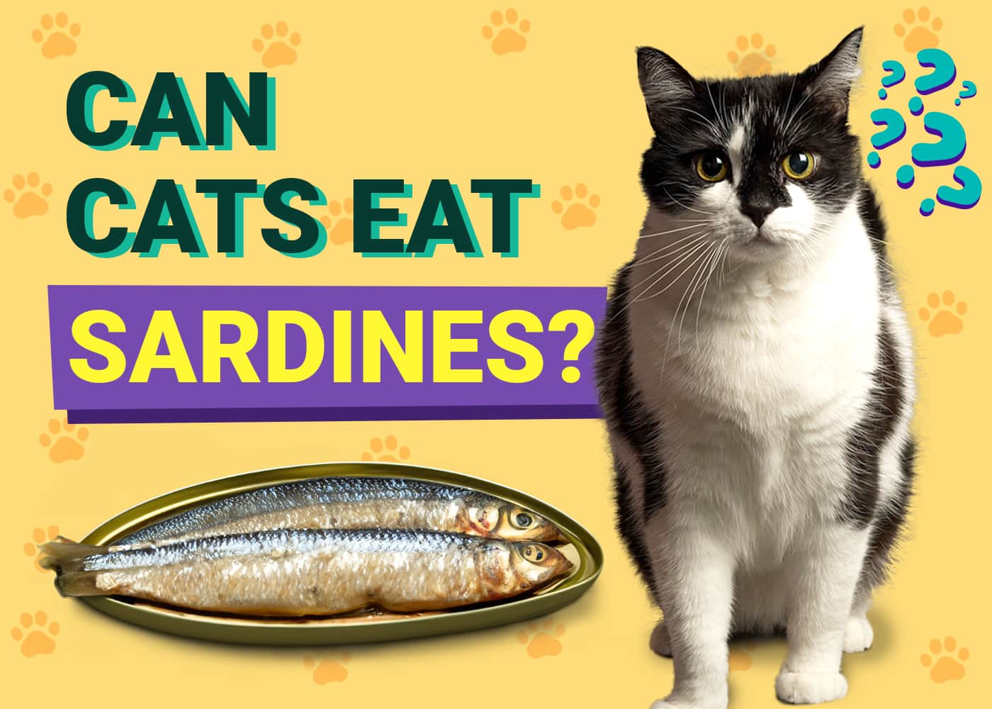 Canned sardines for cats hotsell