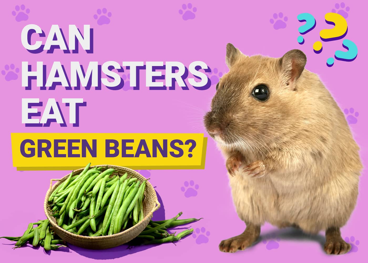 Crisp Can Hamsters Eat Green Beans Landscape Digital Art Crisp Can Hamsters Eat Green Beans Landscape Digital Art