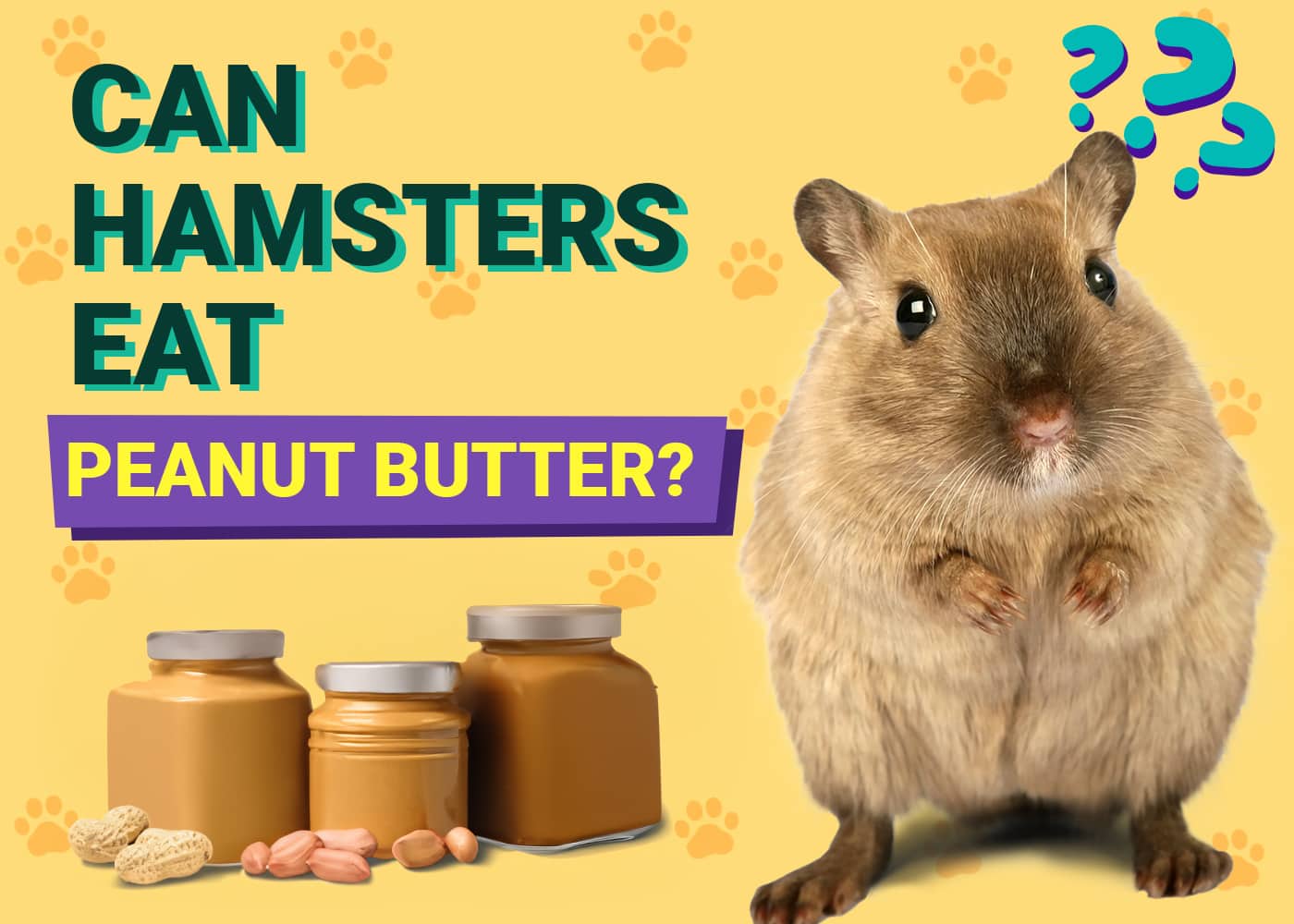 Breathtaking Can Hamsters Eat Peanut Butter Picture Digital Art Breathtaking Can Hamsters Eat Peanut Butter Picture Digital Art